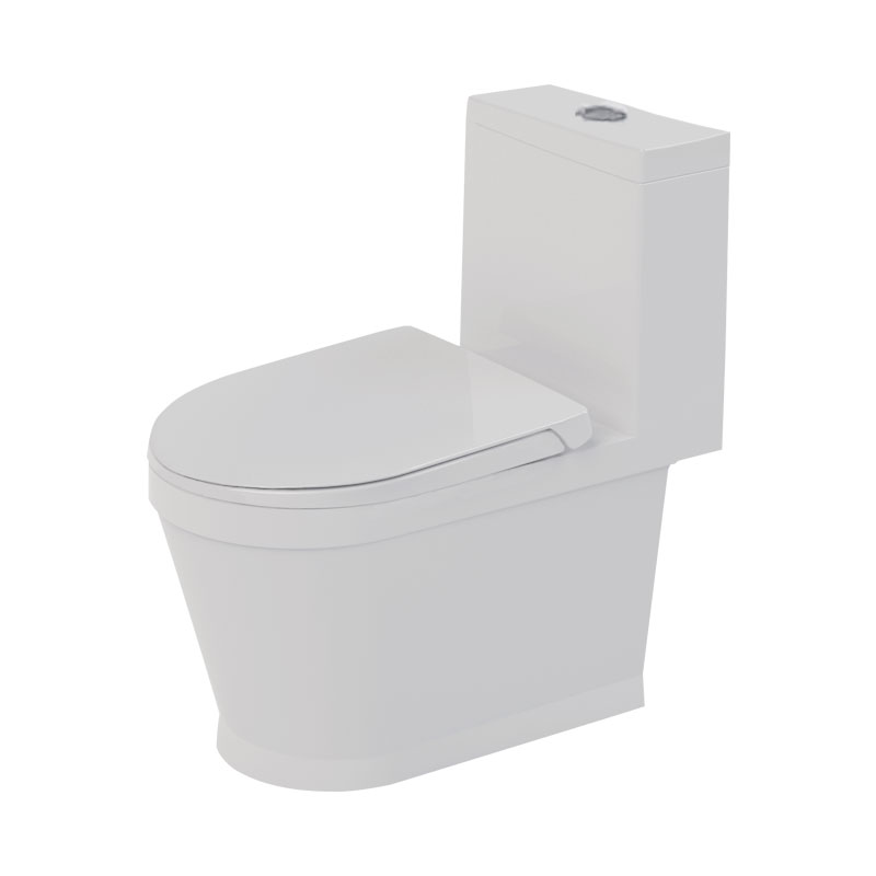Bravat Onepiece Toilet Superior Home